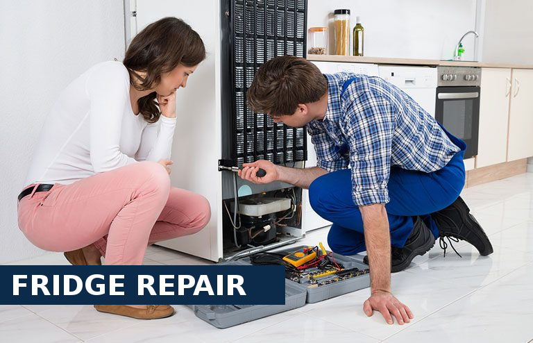 Fridge Repair Canbury